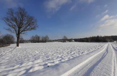 GREEN HOUSE - Foto 26