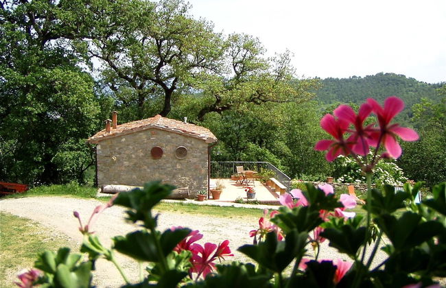 Antico Silbule - Photo 28