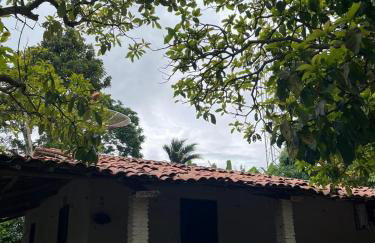 Sítio na Serra de Mulungu - Foto 29