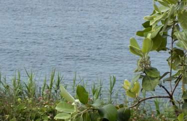 Alma do Mar - Soul of the Sea - Photo 12