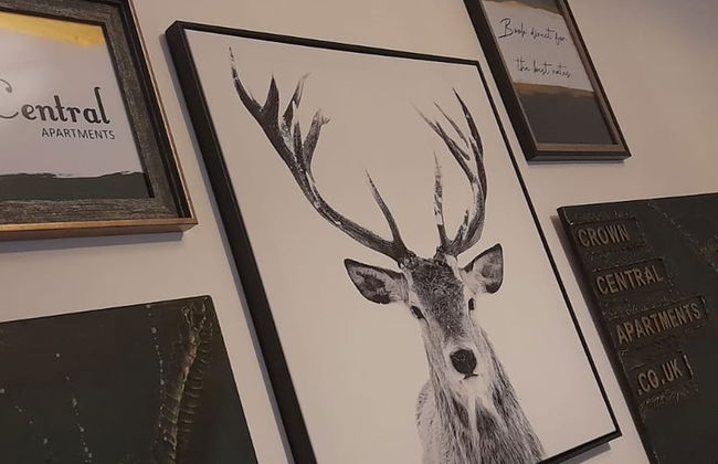 Crown Central Apartments - Foto 39