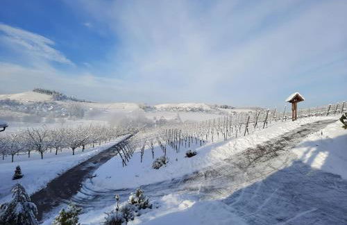 Ferienwohnung am Weinberg - Foto 14