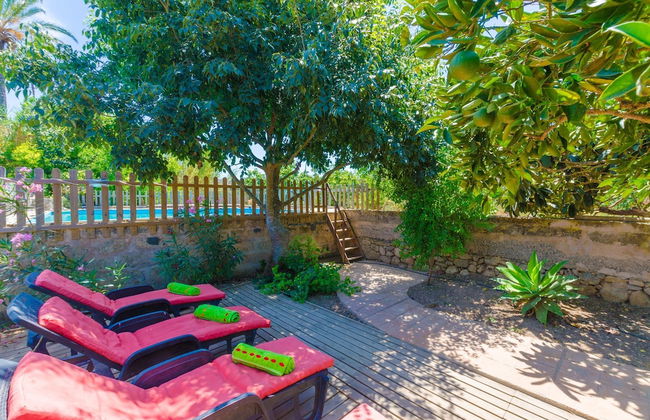 Hort De Can Bou in Porreres - Foto 4