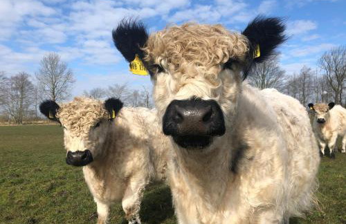 Hof Maiholm - Sattelkammer - Foto 24