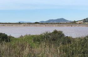 Maison bord de mer climatisée La Capte , Hyères - Foto 31