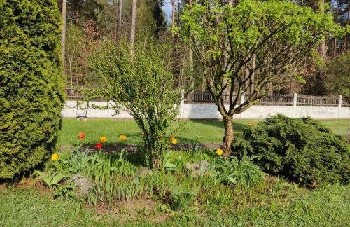 Domek z ogrodem - Foto 14