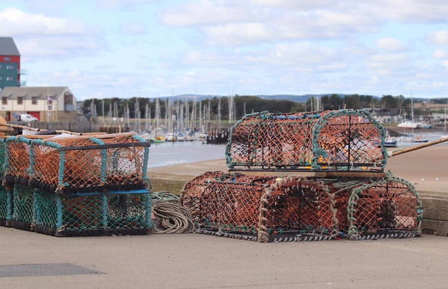 Kindly Light Cottage - Foto 39