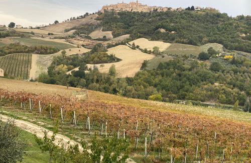 Casa Baldoni - Foto 32