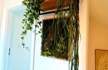 Chatka Mechatka - Foto 36