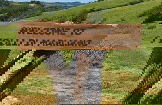 Azienda Agricola I Colli di Marliano - Photo 32