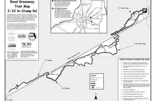 Town & Country Hideaway - 1BR/1BA, 20 min FAMU/FSU - Foto 24