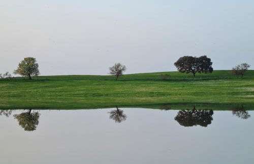 Monte do Arneiro - Foto 63