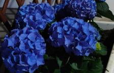 Villa Fontana Angel Home - Foto 17