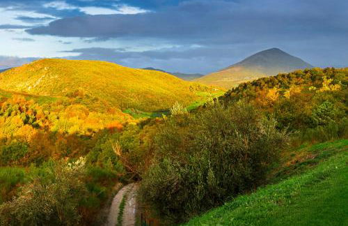 Agriturismo Castello Di Pupaggi - Foto 75