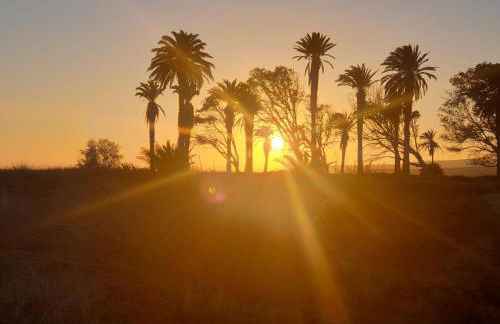 La Esquinita - Foto 20