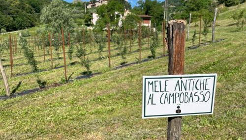 Agriturismo Fattoria Togonegro - Foto 2