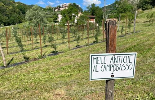 Agriturismo Fattoria Togonegro - Foto 2