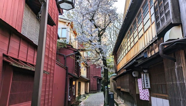 Adventures in Kanazawa: Sweet and Plate Making with Ninja Star Throwing - Full-Day Tour - Foto 3