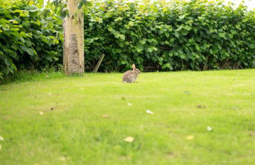 6 Bed in Tosside Near Settle oc-ds102 - Foto 39