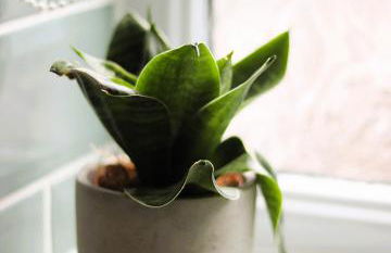 Norkle House - Photo 6