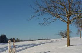 Ferienwohnung "Hinterland" - Foto 14