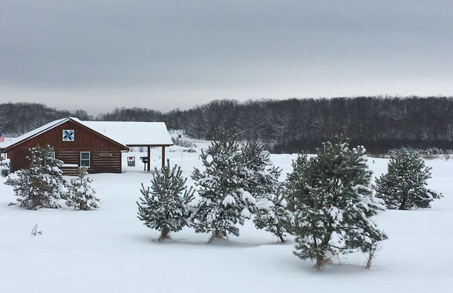 Sunset Pines Resort - Photo 20