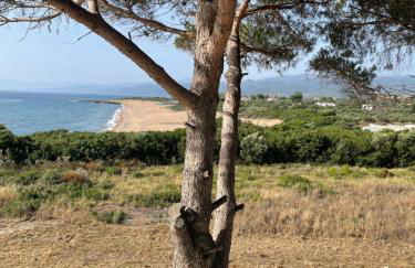 Tzanetos Pelagos - Foto 31