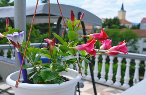 Apartments Biondi - Photo 10