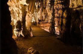 Apartments Žugec - Foto 32