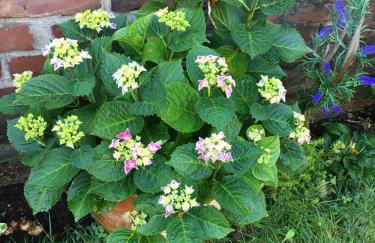 Charmant Wohnen - Photo 41