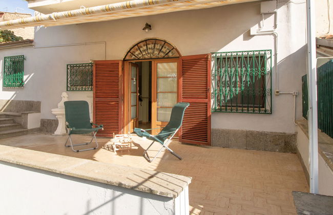 Kiwi e L'uva - Tuscia - Foto 18