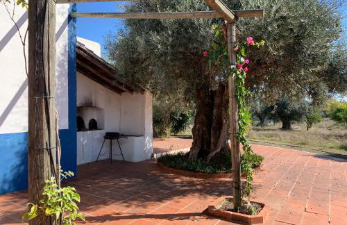 Quinta do Céu Tranquilidade e Piscina no Alentejo - Foto 36