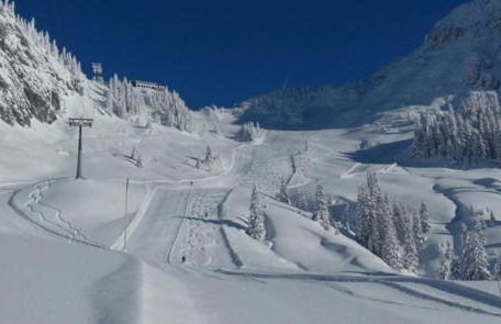 CHALET 4 Le Cerf - Foto 36