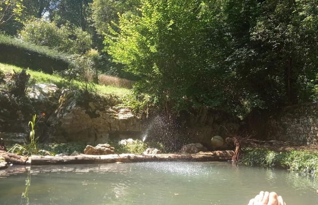 Bosque de Cuevas - Foto 15