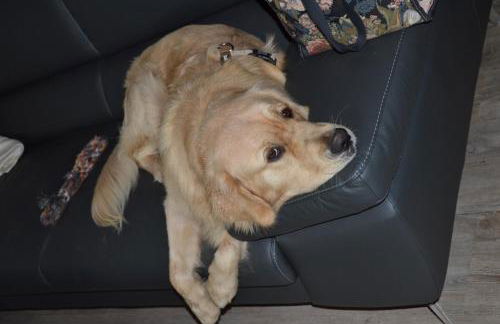 Gästehaus Rachelblick - Foto 41