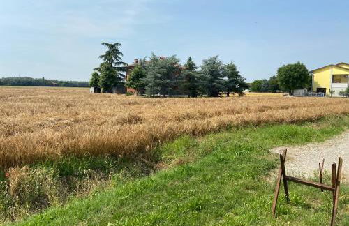 B&B Campi di sole - Foto 22