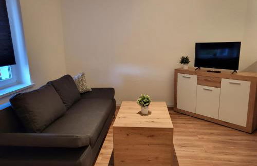 Exklusievwohnung Weißenfels - Foto 8