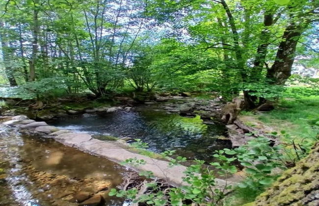 Chalet in St Maurice Near Ballon D'alsace - Foto 37