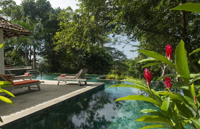 08 Acre Private Tea Estate Close To Galle - Photo 4