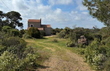 Maison au cœur de la garrigue - Foto 3
