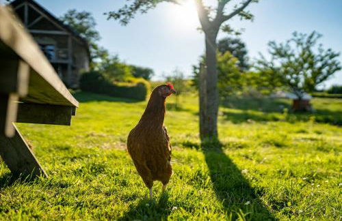 La Vallee des Elements - Foto 23