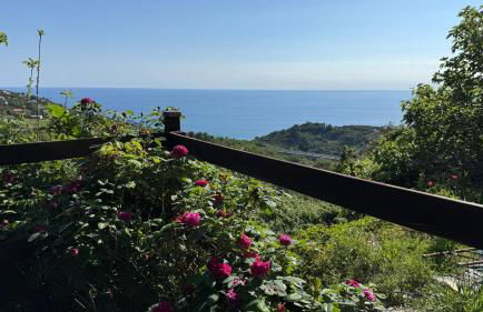 Da Mafalda - Foto 17