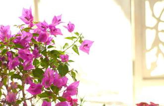 Schönes Appartement in Meerbusch Am Buschend - Foto 8