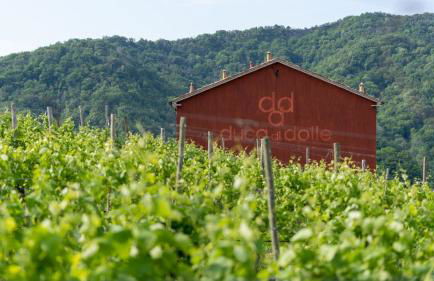 Duca Di Dolle Wine & Relais - Foto 25