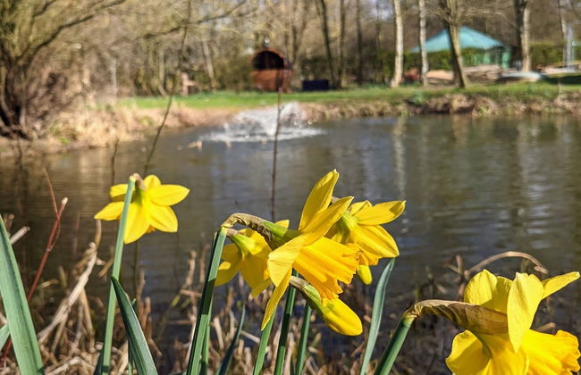 Swan Lodge With Hot Tub, Sauna and Treatments - Foto 22