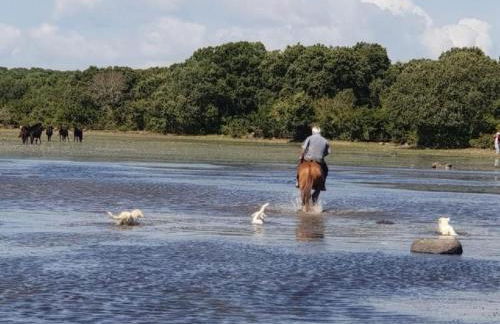Holiday Home mit Wasserblick by Interhome - Foto 58
