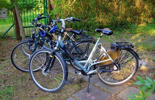 Leśniczówka Białogóra & jacuzzi - Foto 30