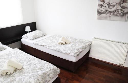 Apartment Sandra Toplice Sveti Martin - Foto 11