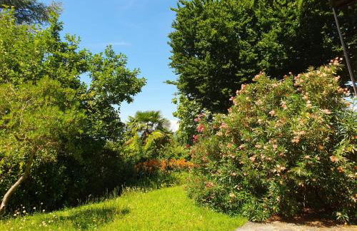 Casa Paradiso - Photo 13