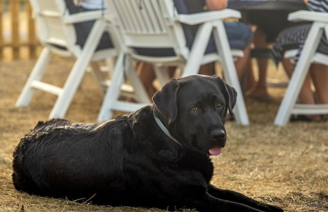 Haga Park Camping & Stugor - Foto 57